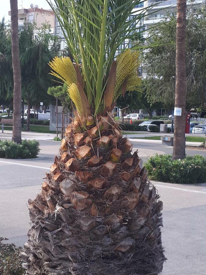 Sea Front & City Center, Amazing Sea View Limassol Extérieur photo